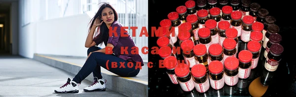 ГАЛЛЮЦИНОГЕННЫЕ ГРИБЫ Няндома