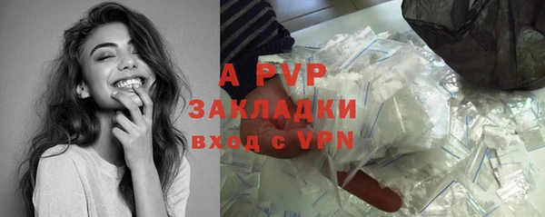 ГАЛЛЮЦИНОГЕННЫЕ ГРИБЫ Няндома