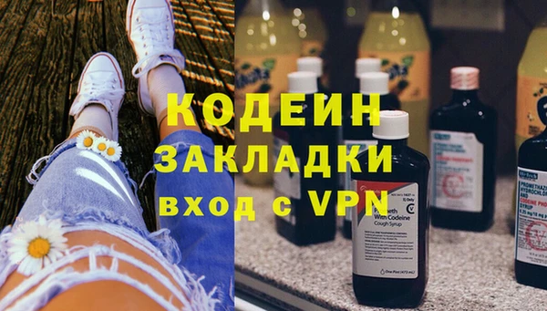 ГАЛЛЮЦИНОГЕННЫЕ ГРИБЫ Няндома