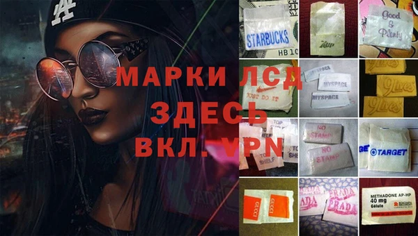 ГАЛЛЮЦИНОГЕННЫЕ ГРИБЫ Няндома