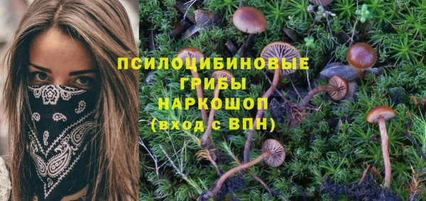 СК Нягань