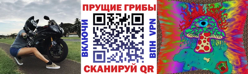 кракен ссылки  Усть-Илимск  Псилоцибиновые грибы MAGIC MUSHROOMS 
